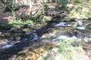 La Savoureuse du Rummel à l'Etang du Petit Haut